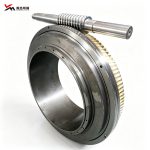 Precision Dual-Lead Worm Gear Pair