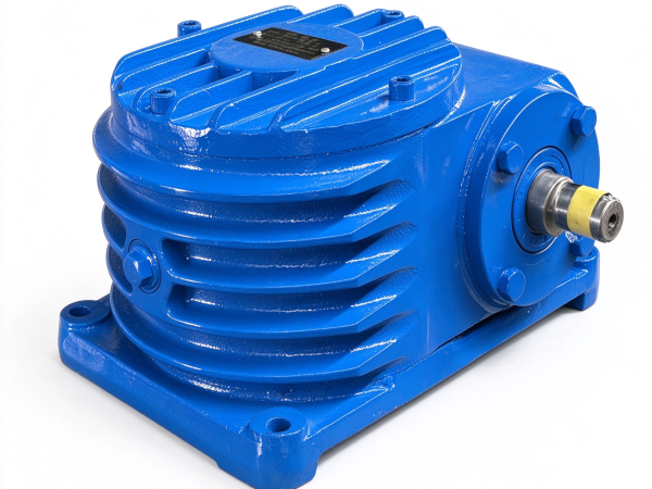 CWS100 Arc Cylindrical Worm Gear Reducer