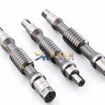 Precision Gradual-Thickness Dual-Lead Worm